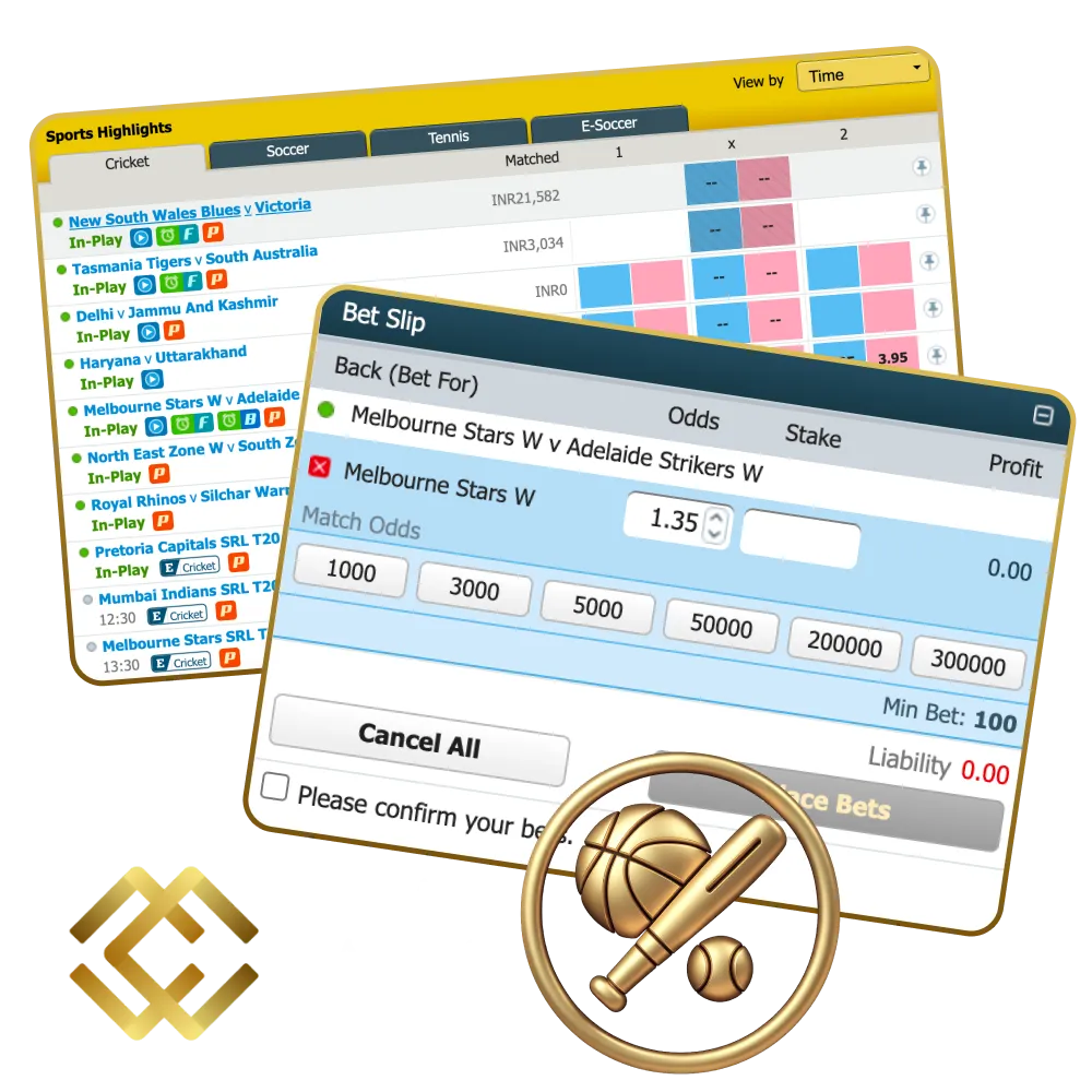 You can bet on sports as well as gamble on the Mega Casino World platform.