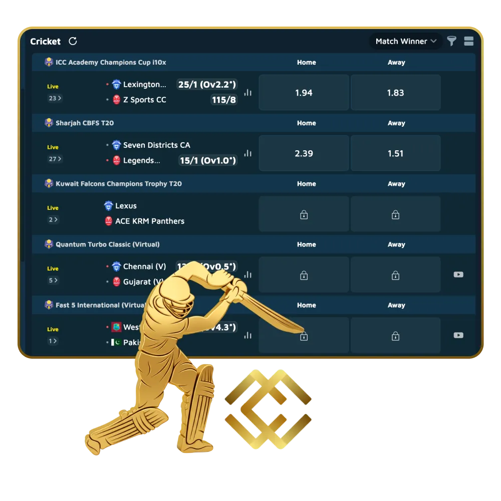 The Mega Casino World site presents a lot of interesting events dedicated to cricket.