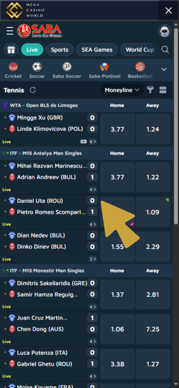 Choose tennis match at one of Mega Casino World sports providers.